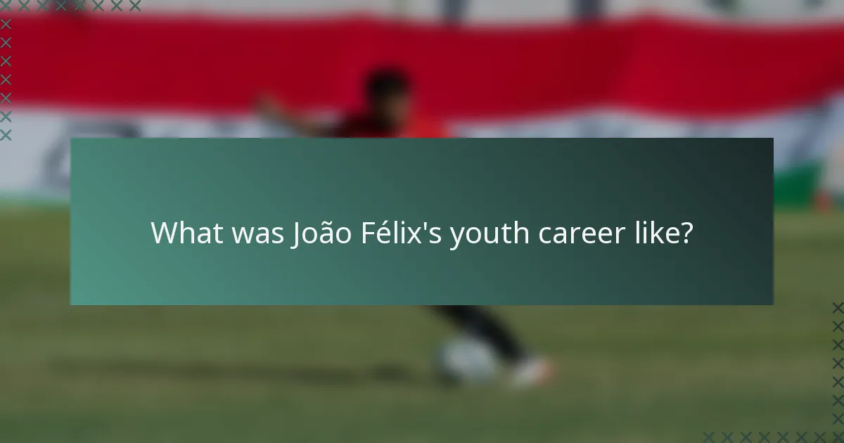 What was João Félix's youth career like?